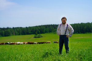 Олег Сирота. Коровы на поле